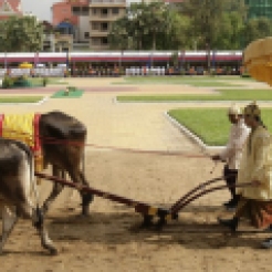 Royal Plowing Ceremony